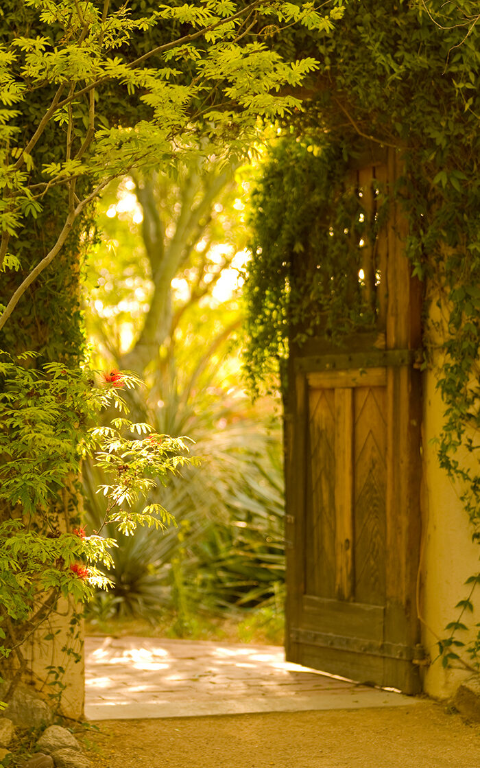 An open wooden garden gate leading toward soft evening light